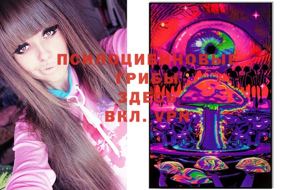 винт Горно-Алтайск
