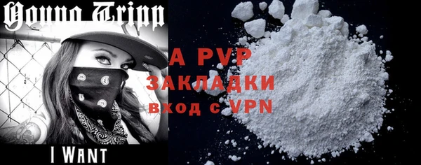винт Горно-Алтайск