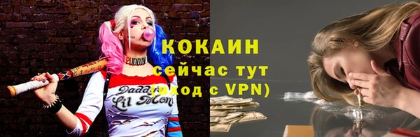 винт Горно-Алтайск